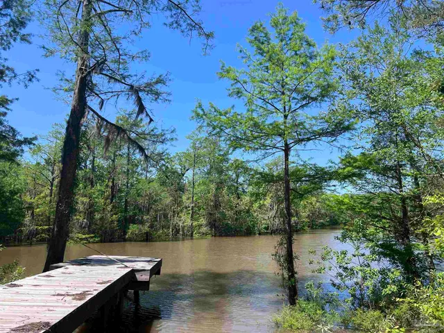 a view of a big yard