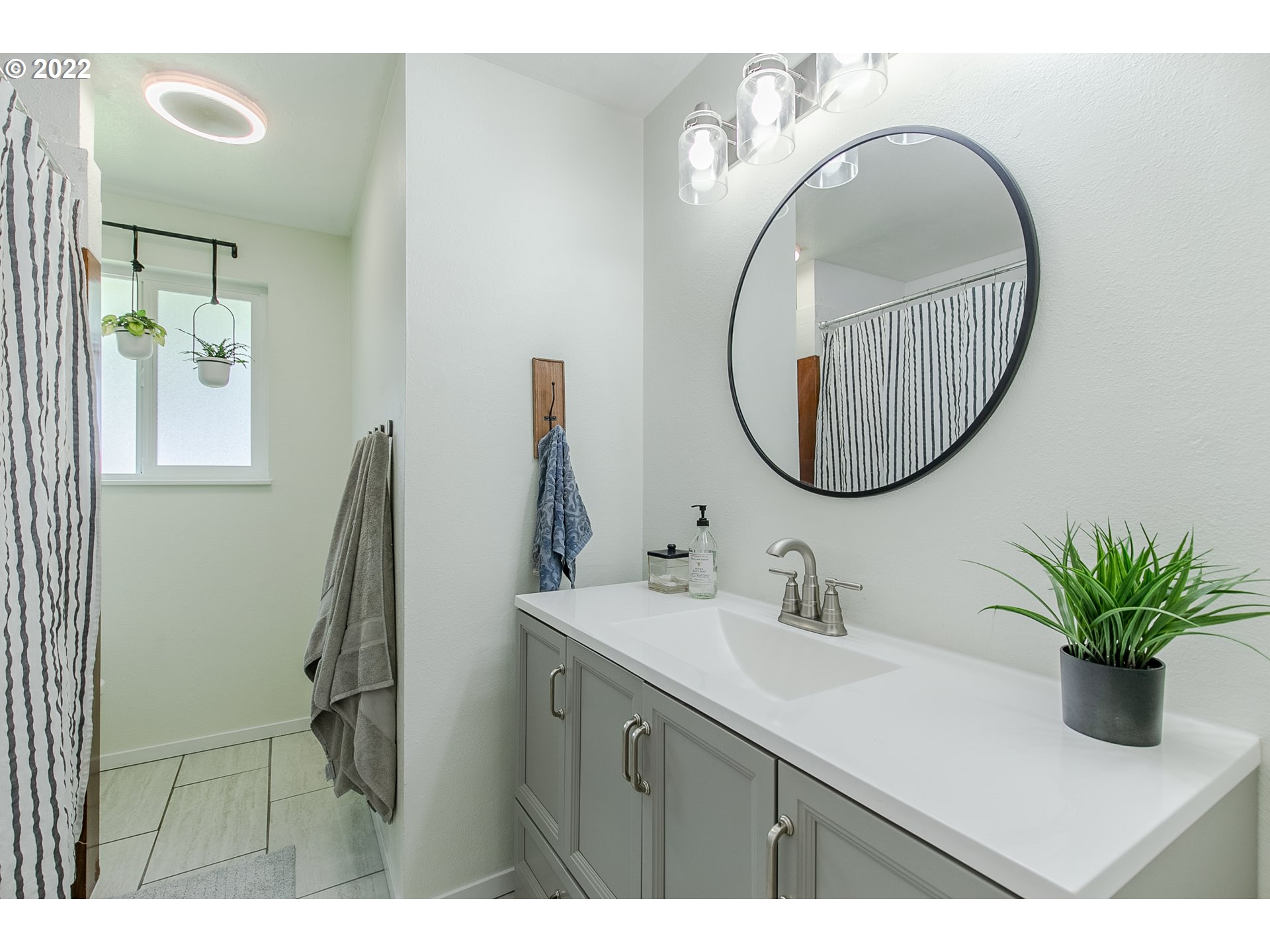 2529 27th Street Springfield, OR 97477 - Photo 11 of 20 a bathroom with a sink a mirror and a potted plant