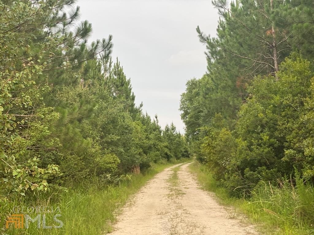 0 Pleasant Grove Road Nicholls, GA 31554 - Photo 1 of 1 Gallery Image 1