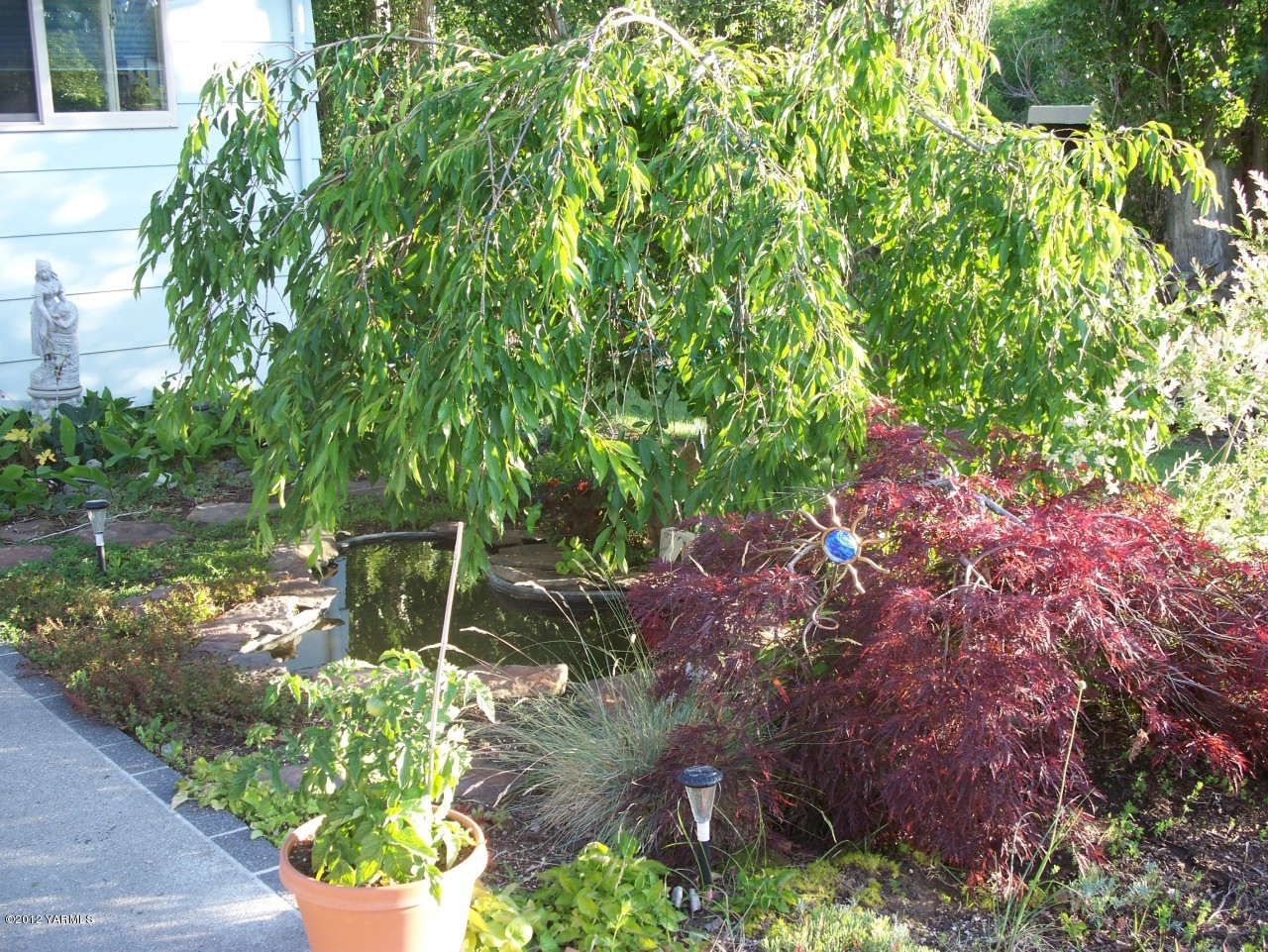 290 Beane Road Moxee, WA 98936 - Photo 16 of 19 a backyard of a house with lots of green space and a fountain