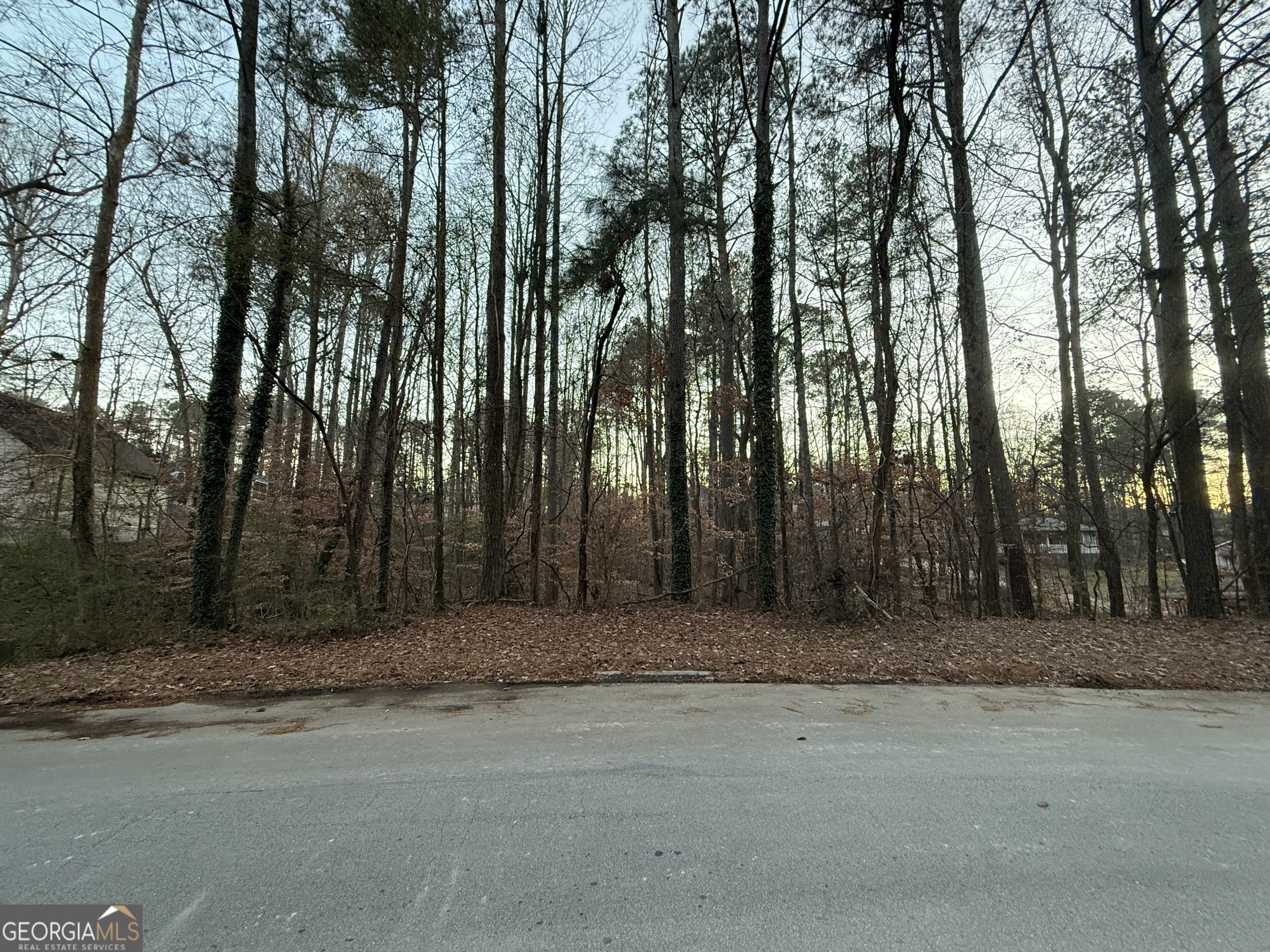 0 Marty Lane Dallas, GA 30157 - Photo 2 of 4 a backyard of a house with large trees