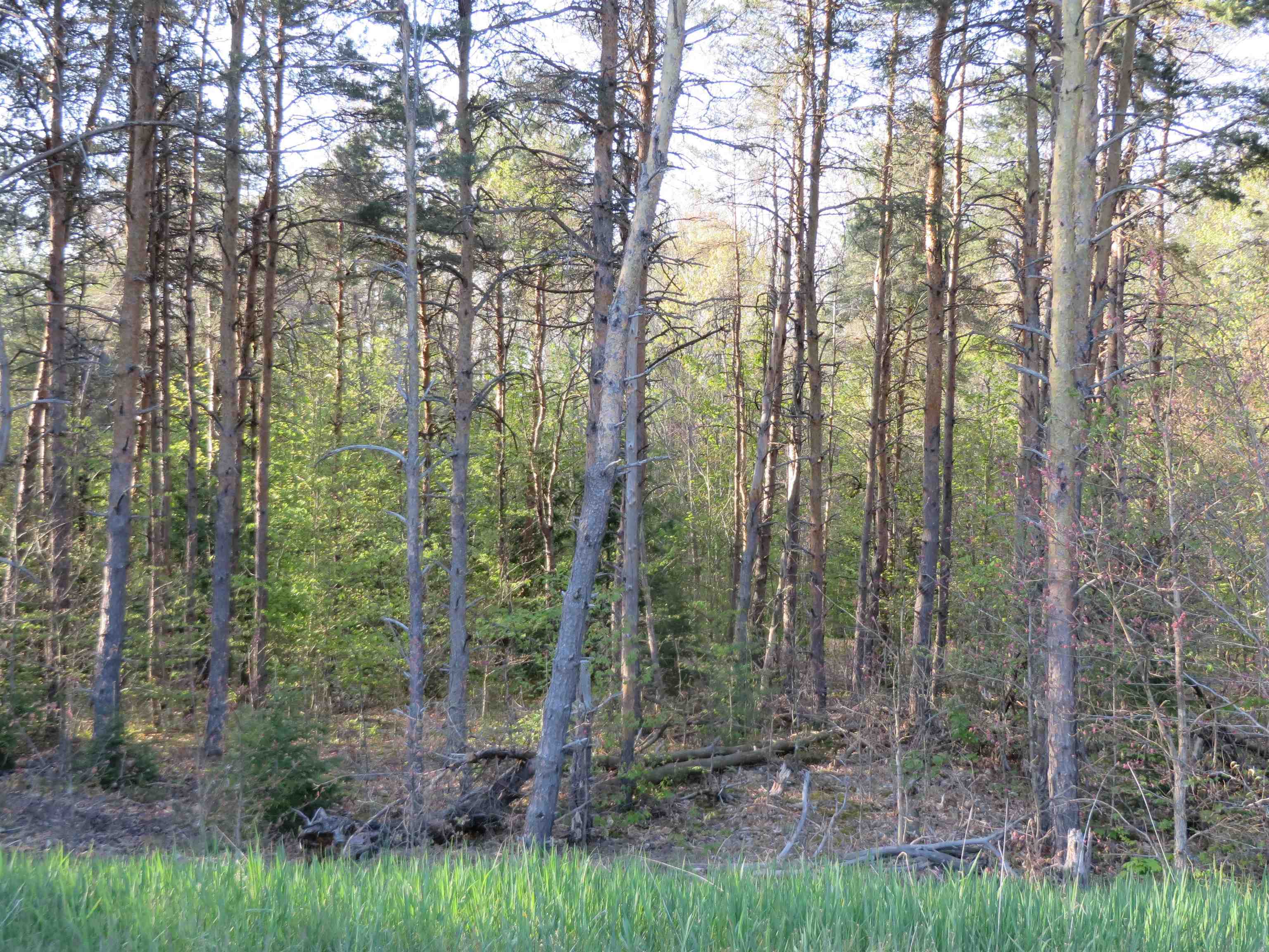 ***** Buckaroo Trail, Unit 11 Petoskey, MI 49770 - Photo 5 of 11