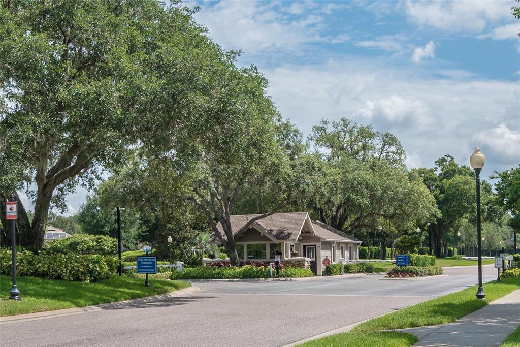 5207 Merion Road Valrico, FL 33596 - Photo 89 of 100 Gallery Image 89