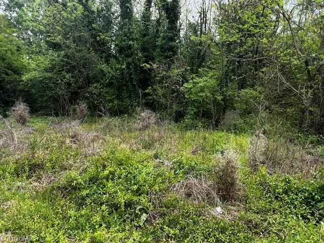 $25,000 | Lot 1 South 12th Avenue, Mayodan, NC 27027