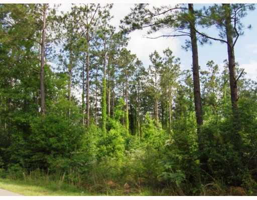 0 Boss Seals Cemetery Road Franklinton, LA 70438 - Photo 1 of 12 Gallery Image 1