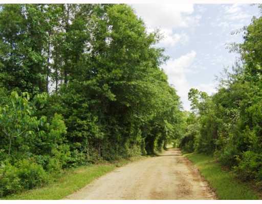 0 Boss Seals Cemetery Road Franklinton, LA 70438 - Photo 3 of 12 Gallery Image 3