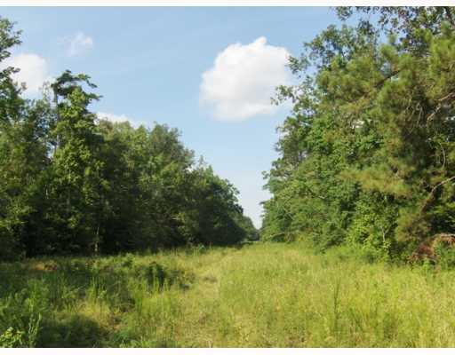 0 Boss Seals Cemetery Road Franklinton, LA 70438 - Photo 5 of 12 Gallery Image 5
