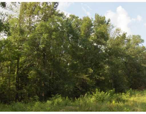 0 Boss Seals Cemetery Road Franklinton, LA 70438 - Photo 6 of 12 Gallery Image 6