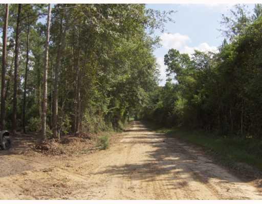 0 Boss Seals Cemetery Road Franklinton, LA 70438 - Photo 8 of 12 Gallery Image 8