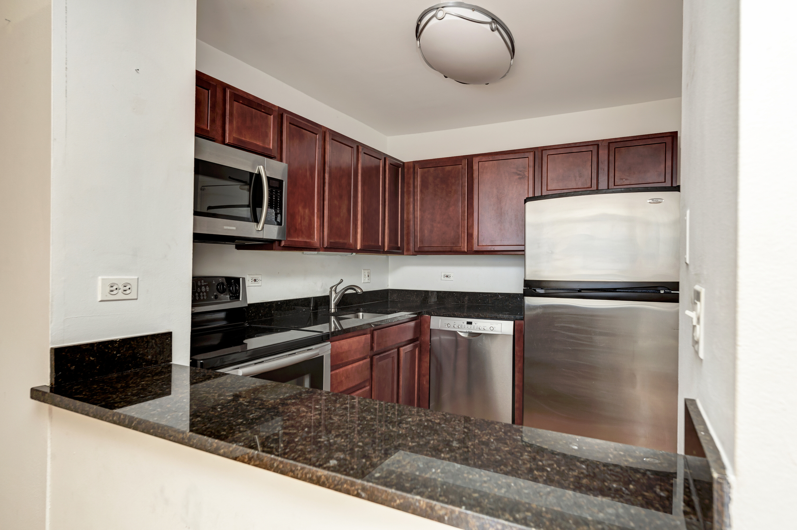 222 East Pearson Street, Unit 203 Chicago, IL 60611 - Photo 12 of 29 a kitchen with stainless steel appliances granite countertop a refrigerator sink and microwave