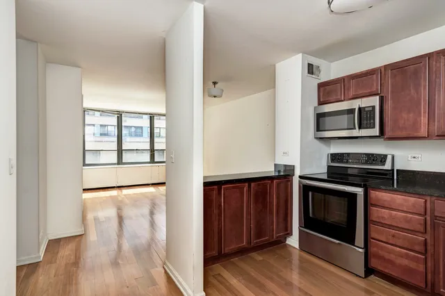 $2,299 | 222 East Pearson Street, Unit 203, Chicago, IL 60611