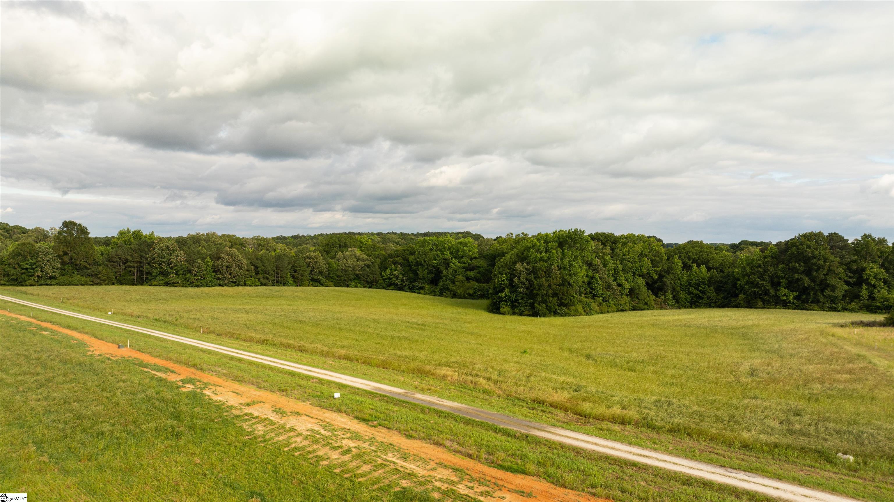 39 Hobby Lane Kinards, SC 29355 - Photo 7 of 11 Gallery Image 7