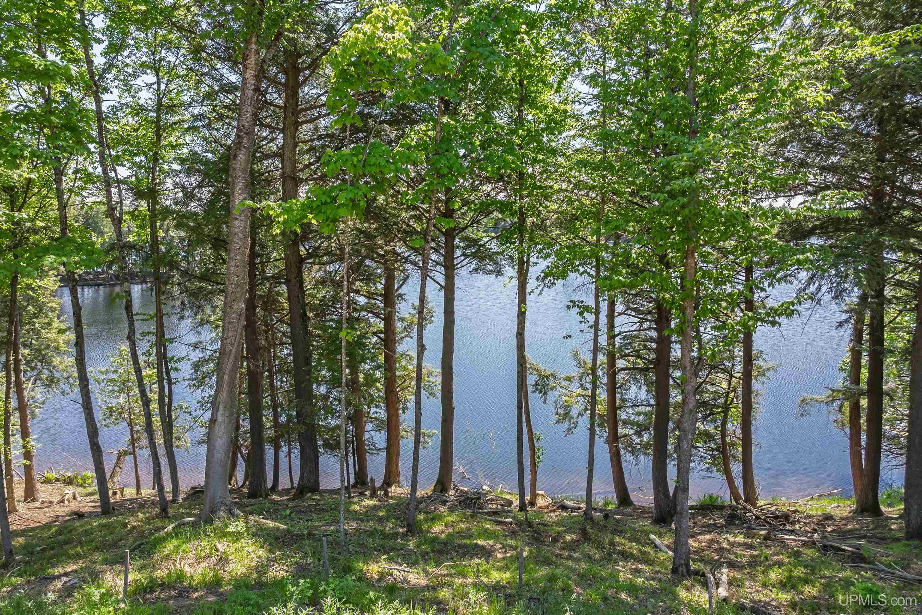 18751 Big Lake Road Watersmeet, MI 49969 - Photo 64 of 75