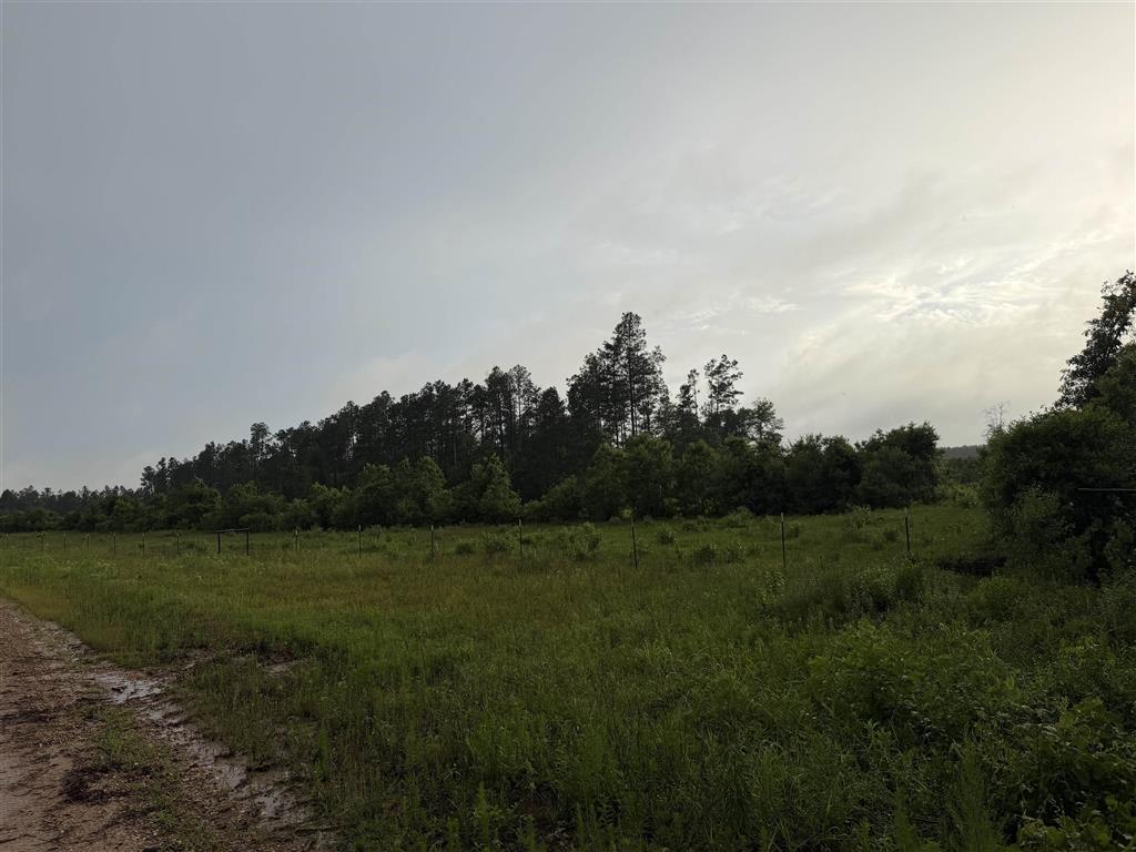 James Manning Road Deridder, LA 70634 - Photo 6 of 10