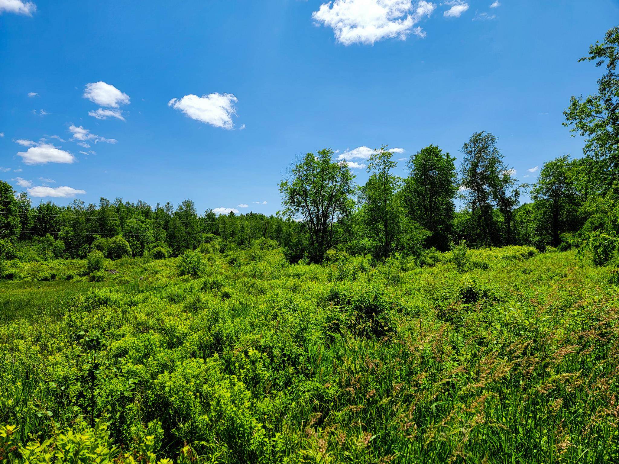 2215 West Hill Road, Unit 7 Montgomery, VT 05450 - Photo 14 of 40 Gallery Image 14