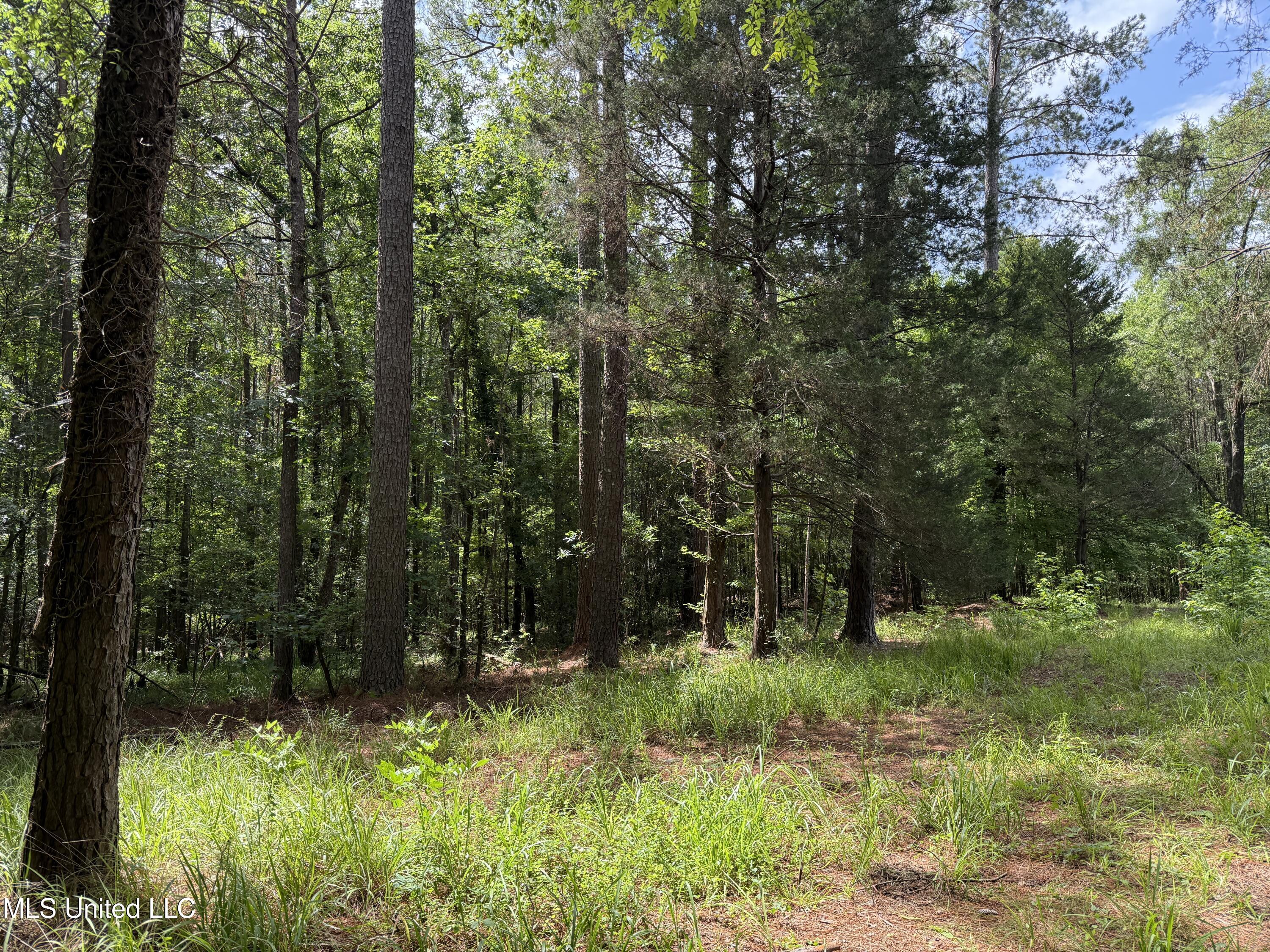 5204 County Road Ethel, MS 39067 - Photo 4 of 37 4