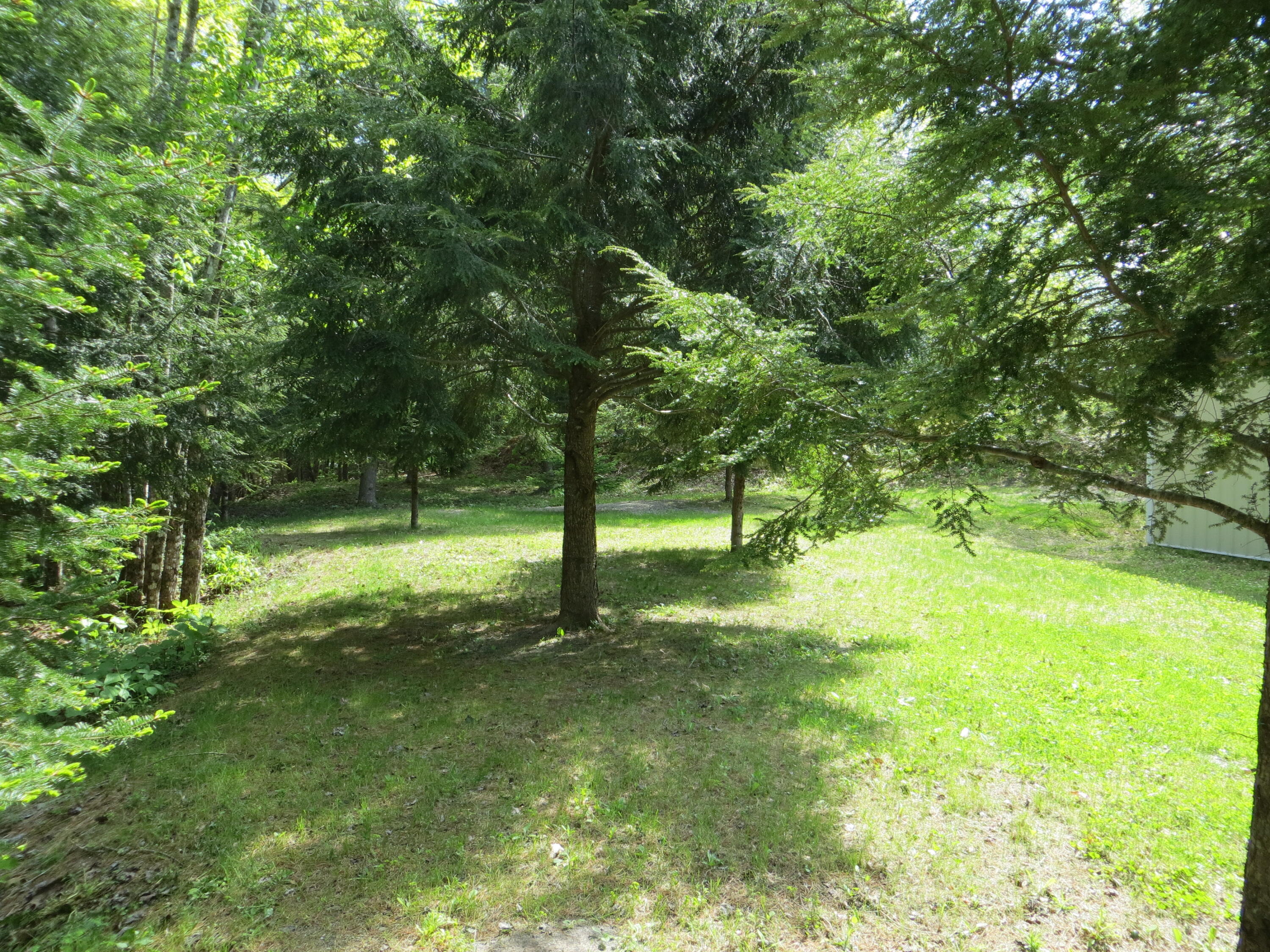 12 Tannery Loop Amherst, ME 04605 - Photo 25 of 40 IMG_0226