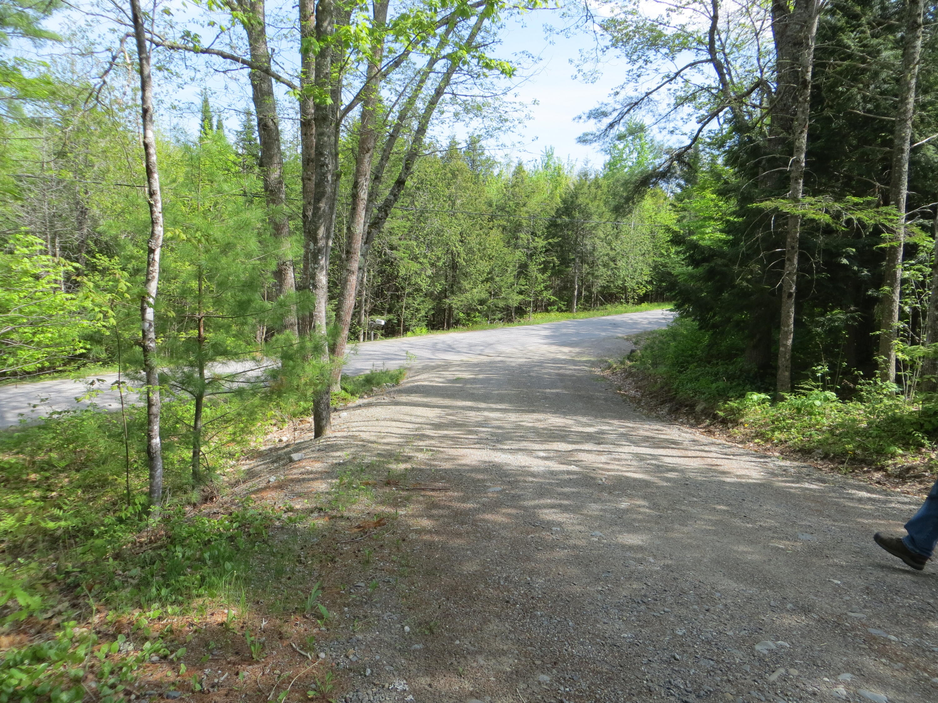 12 Tannery Loop Amherst, ME 04605 - Photo 26 of 40 IMG_0227
