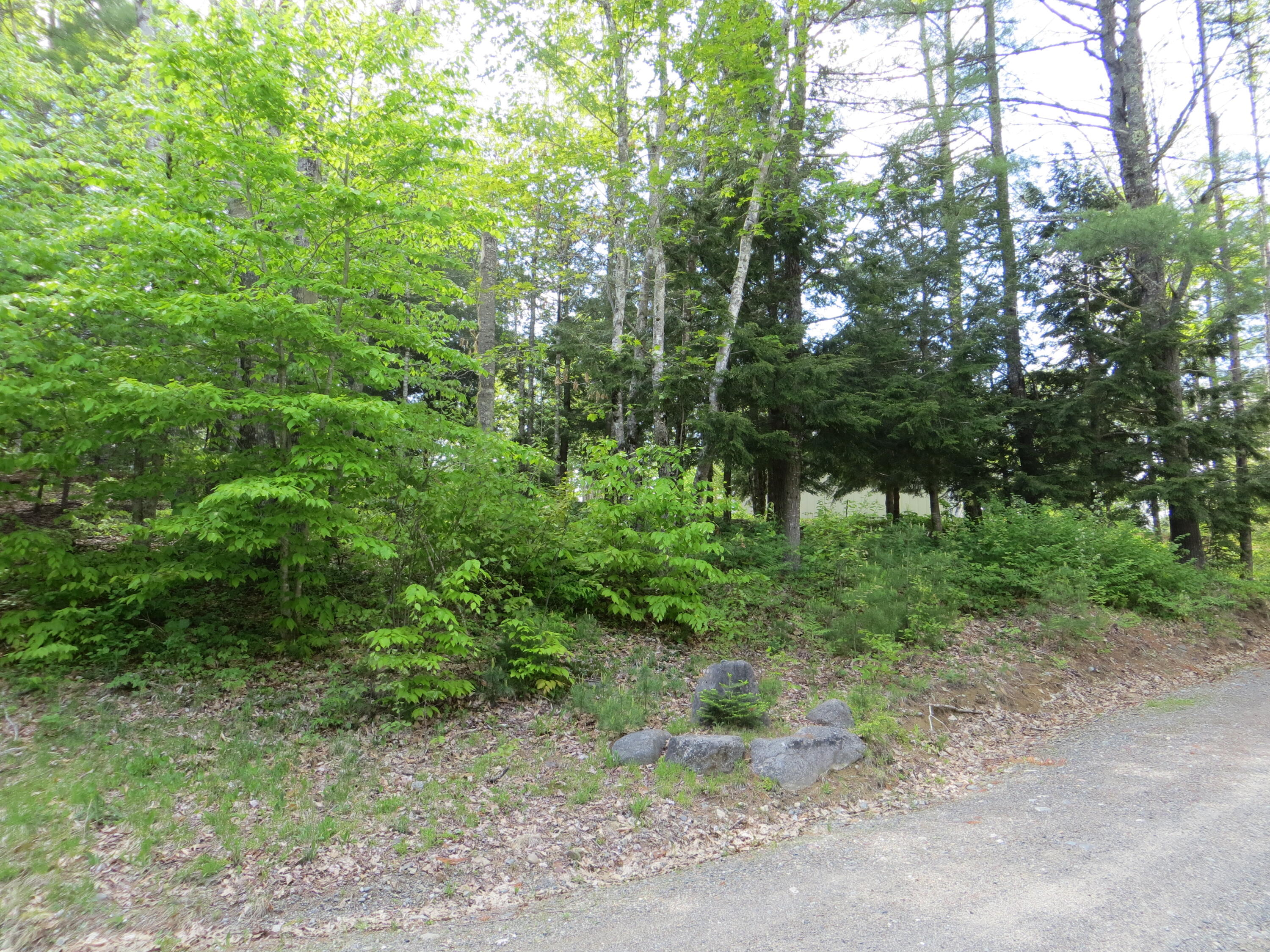 12 Tannery Loop Amherst, ME 04605 - Photo 35 of 40 IMG_0229