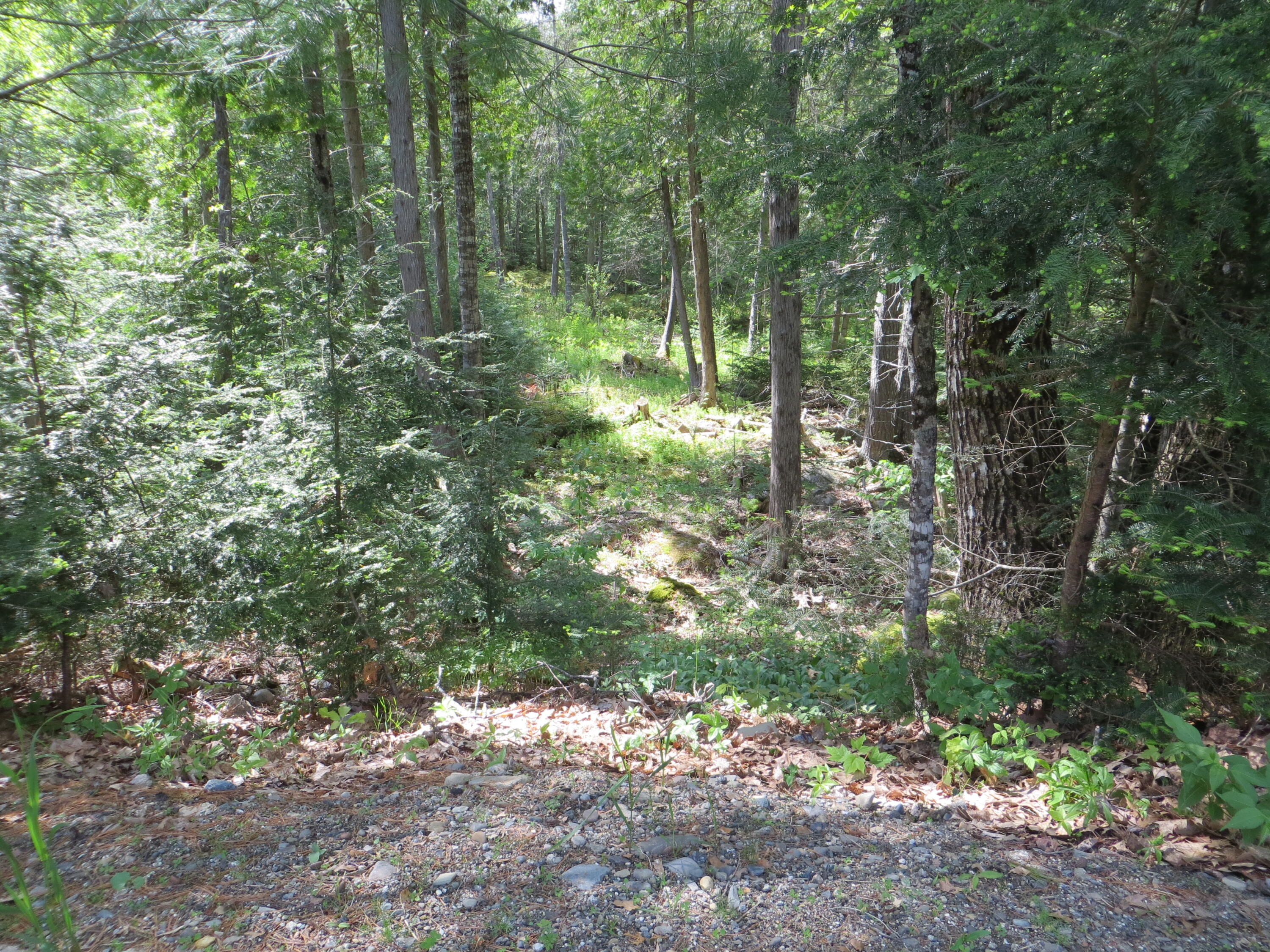 12 Tannery Loop Amherst, ME 04605 - Photo 37 of 40 IMG_0261