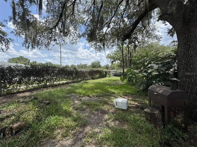 a view of a yard with plants and trees