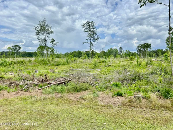 $274,500 | 126 New Hopewell Church Road, Taylorsville, MS 39168