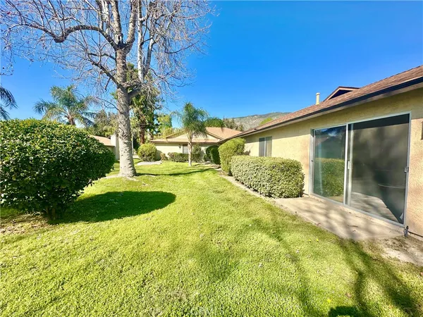 a view of a backyard