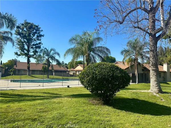 a view of a park with palm trees