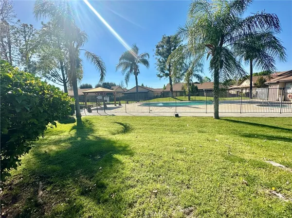 a view of swimming pool with lawn chairs and palm trees