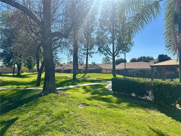 a view of a park with tree s