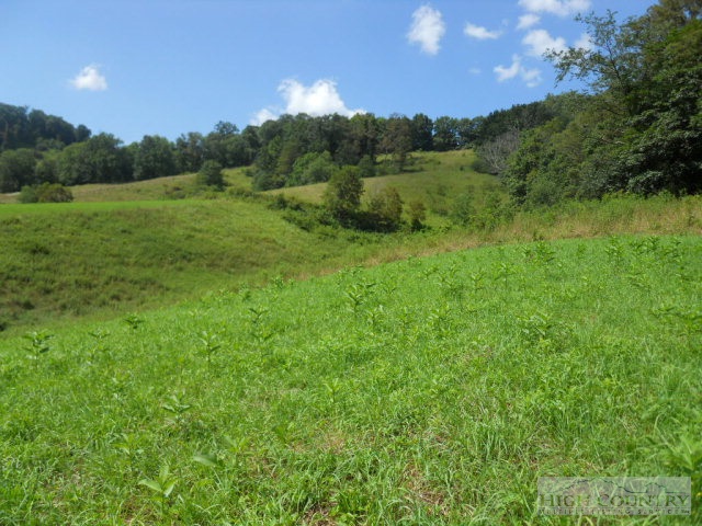 Stansberry Road Lansing, NC 28643 - Photo 1 of 1 a view of a lush green space with sea