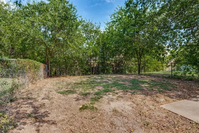 a view of a yard with a tree