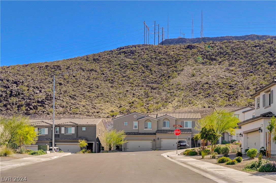 371 Rosefinch Street Henderson, NV 89012 - Photo 44 of 50