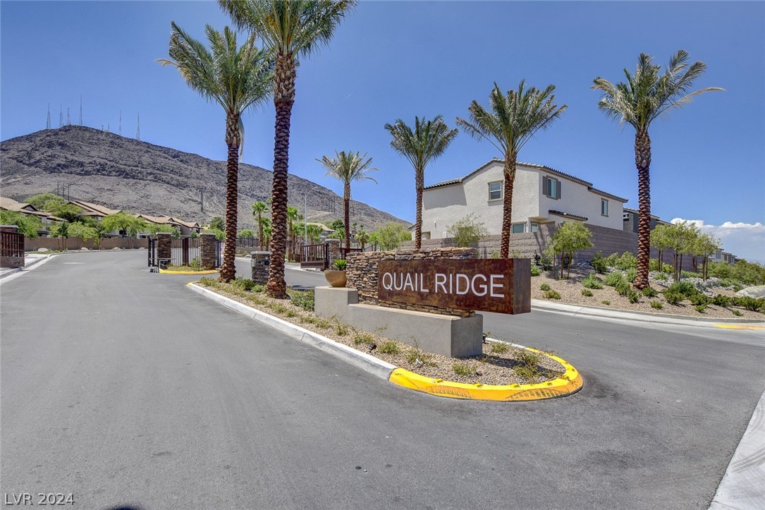 371 Rosefinch Street Henderson, NV 89012 - Photo 50 of 50