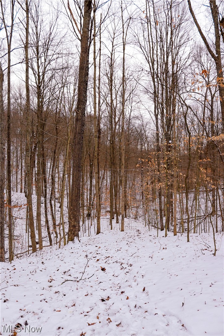 1010 Butterbean Ridge Road Philo, OH 43771 - Photo 13 of 24 View of yard layered in snow