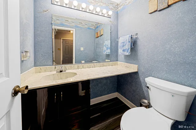 a bathroom with a sink a toilet a mirror and vanity