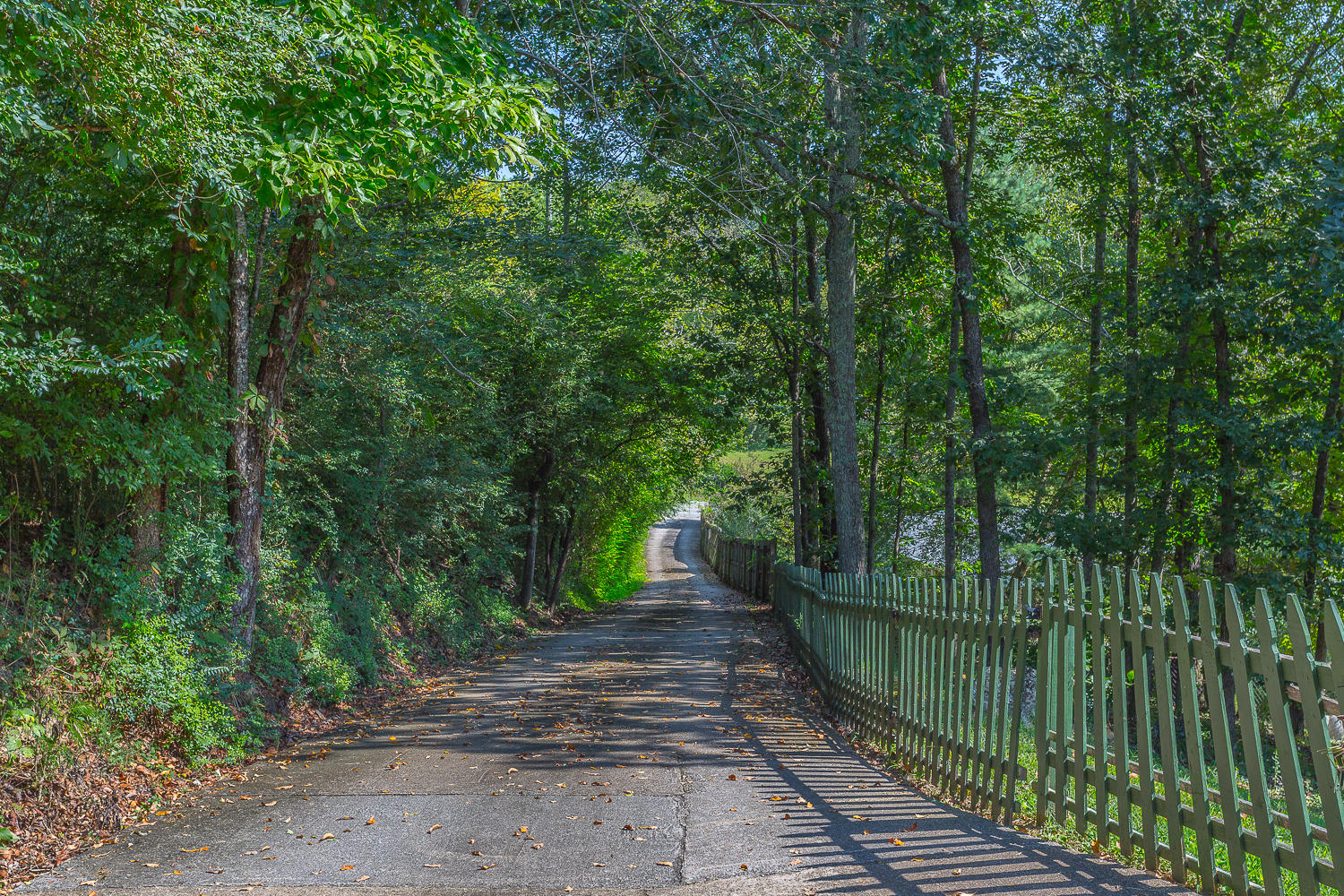 8828 Igou Gap Road Chattanooga, TN 37421 - Photo 5 of 60 8828 Igou Gap-3
