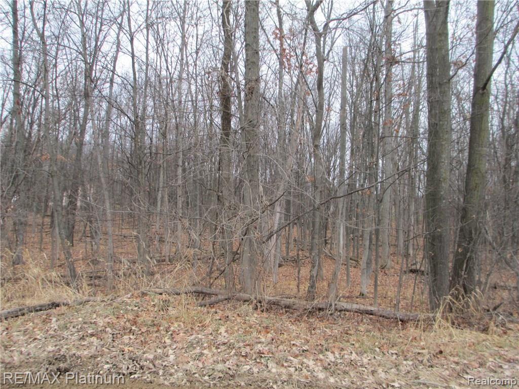 Par C Dean Road Fenton, MI 48430 - Photo 2 of 4