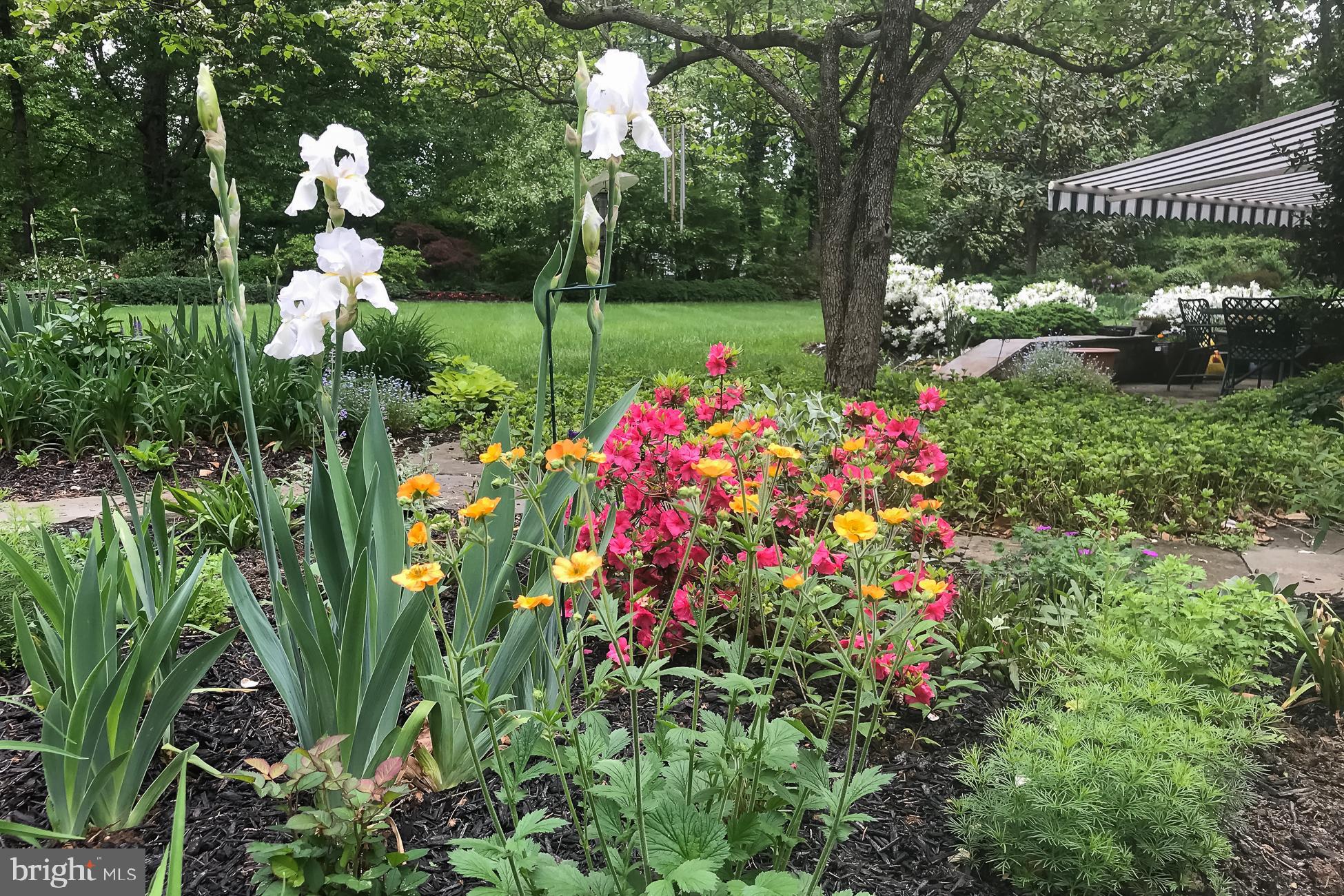 231 Russell Road Princeton, NJ 08540 - Photo 33 of 34 perennial gardens in summer