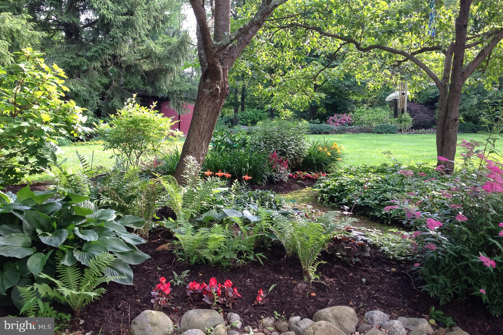 231 Russell Road Princeton, NJ 08540 - Photo 34 of 34 perennial gardens in summer