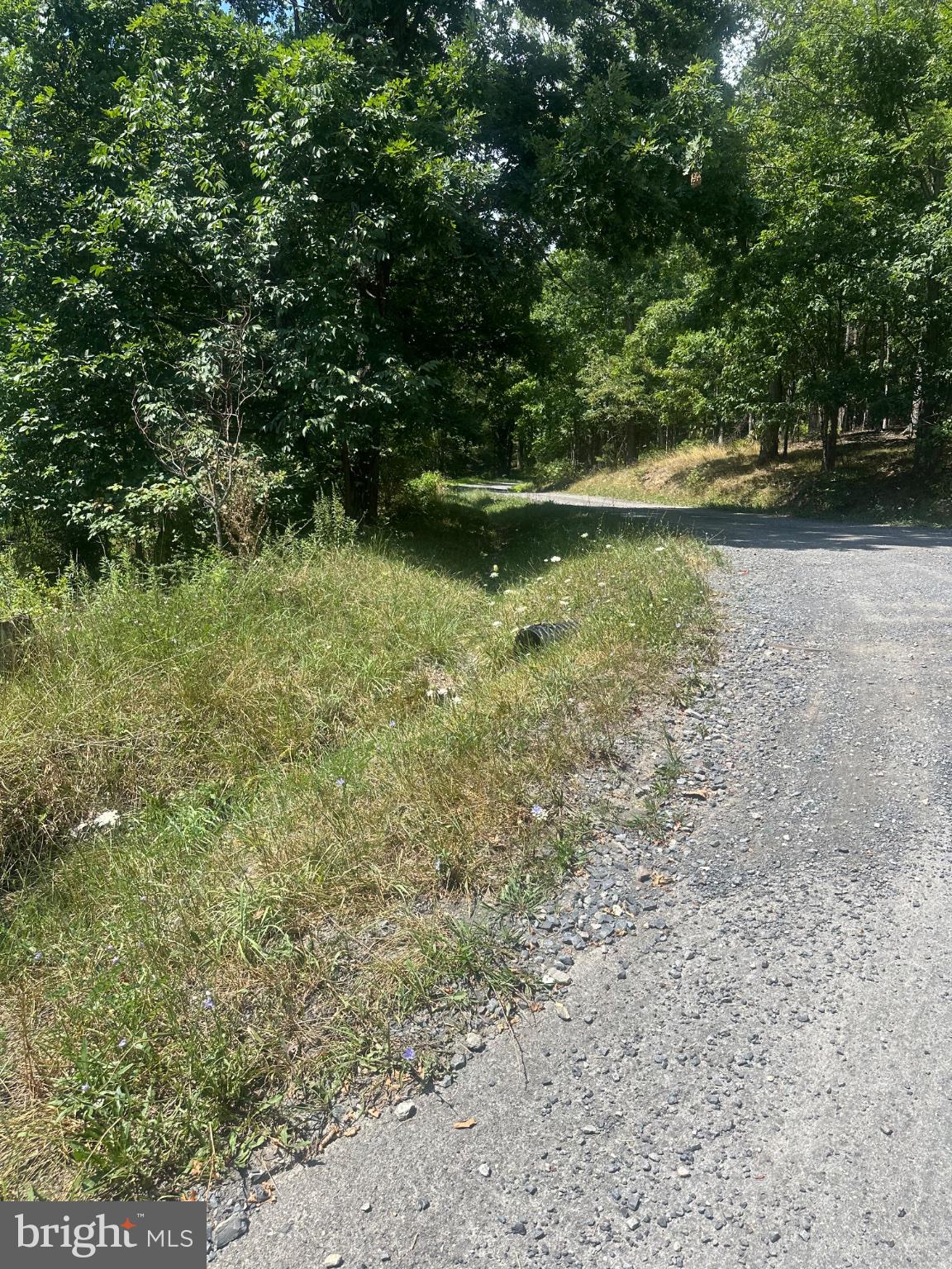 Log Trail Road Cumberland, MD 21502 - Photo 1 of 4 Winding path through lush greenery.