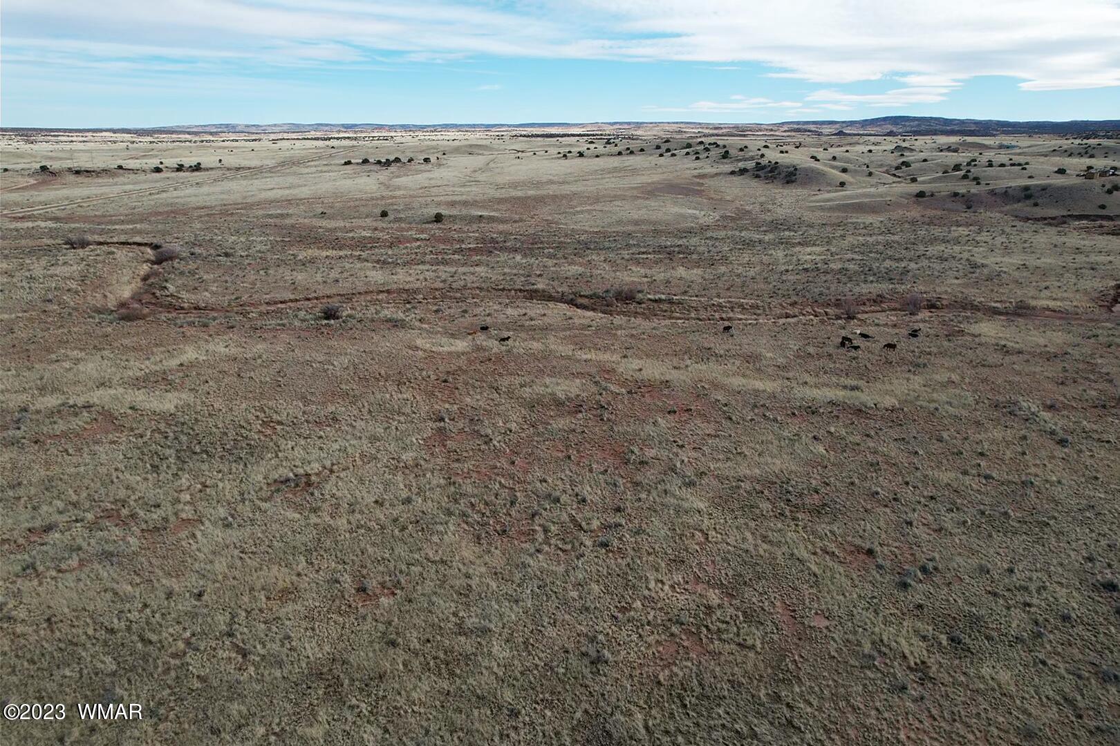 Rancho Rancho Alegre Concho, AZ 85924 - Photo 11 of 21