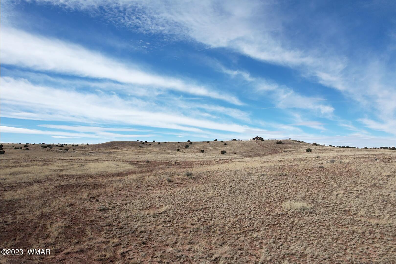 Rancho Rancho Alegre Concho, AZ 85924 - Photo 19 of 21
