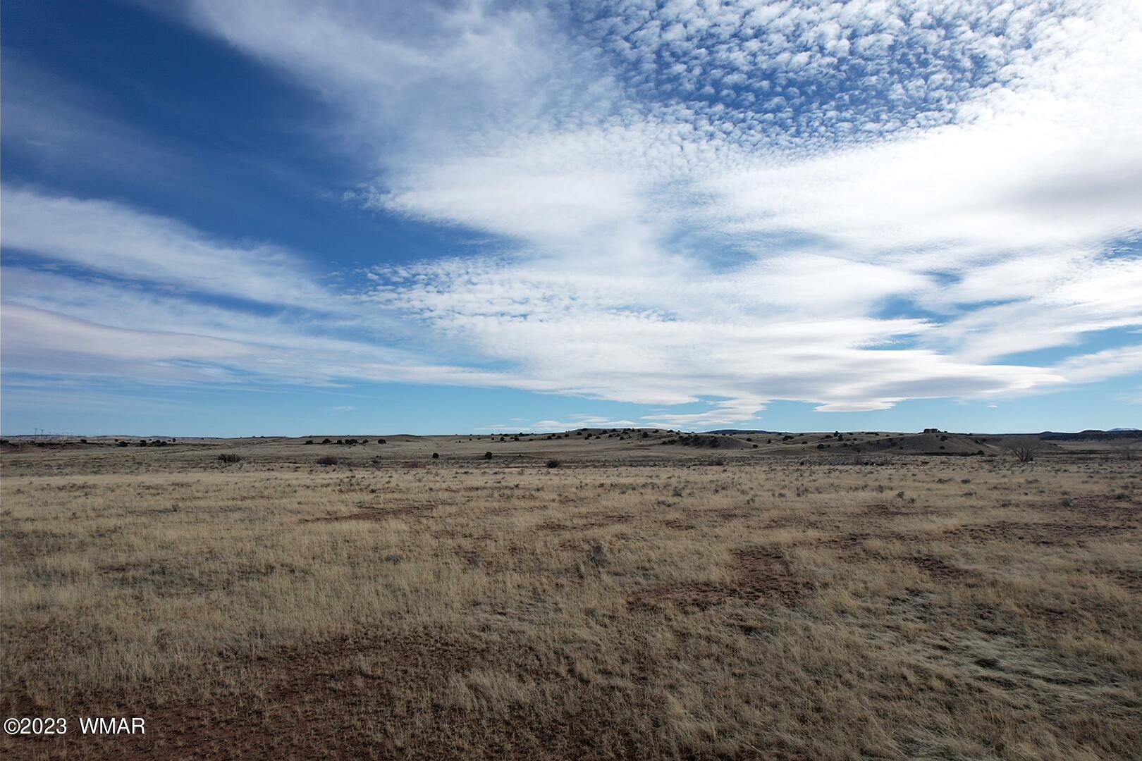 Rancho Rancho Alegre Concho, AZ 85924 - Photo 20 of 21