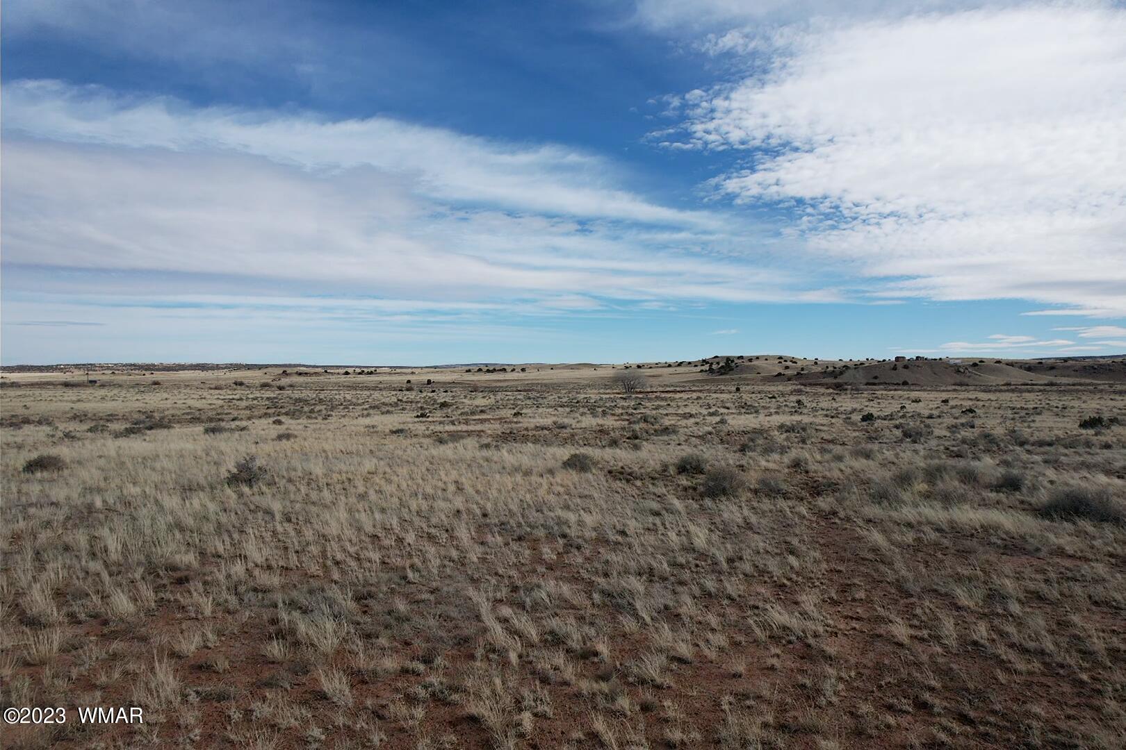 Rancho Rancho Alegre Concho, AZ 85924 - Photo 5 of 21