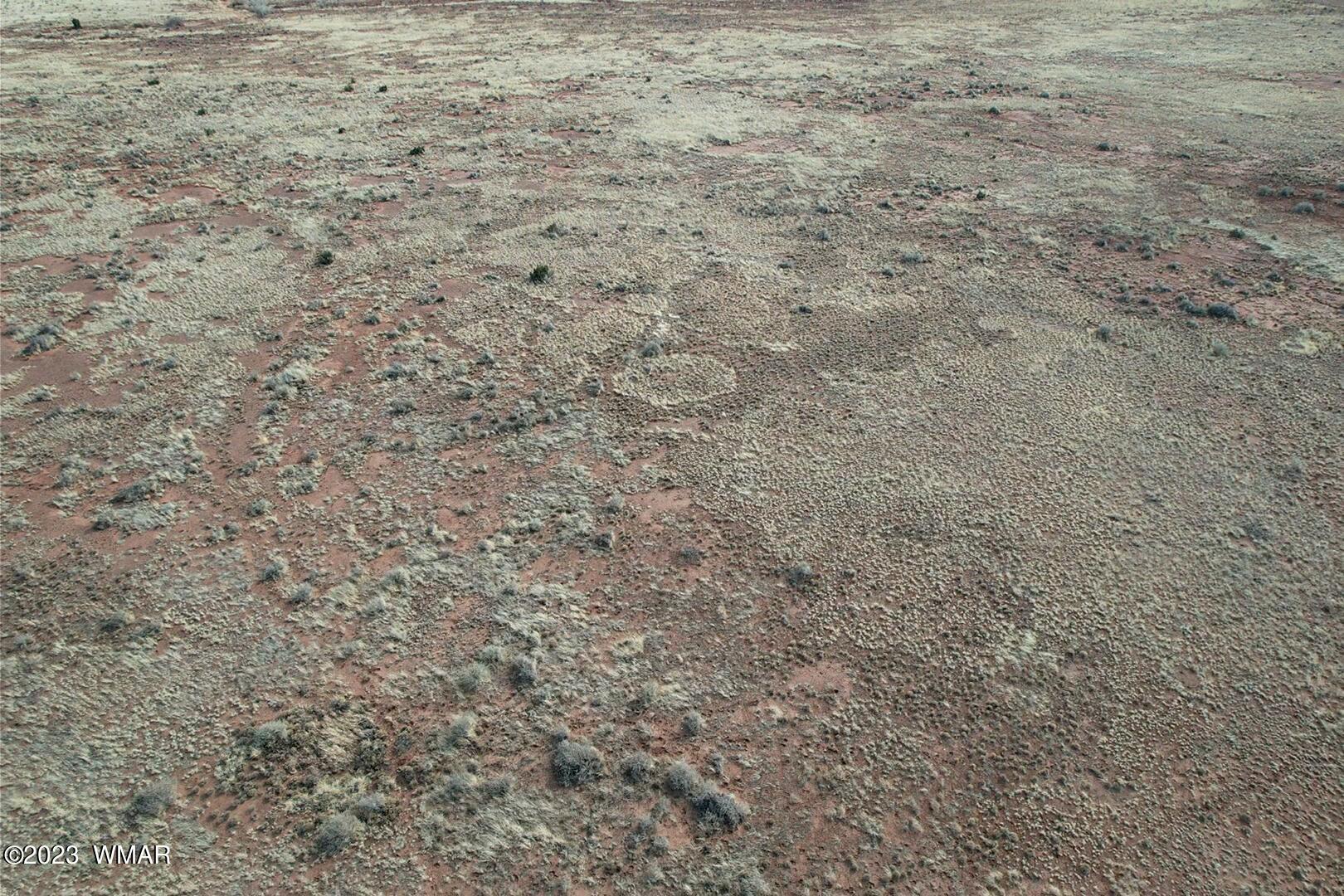 Rancho Rancho Alegre Concho, AZ 85924 - Photo 6 of 21