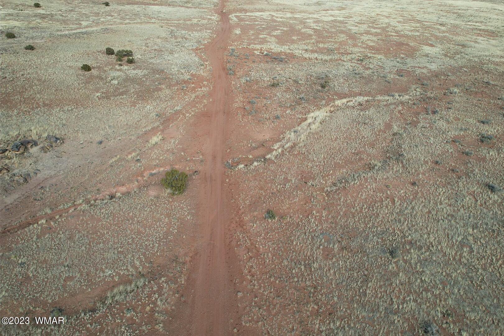 Rancho Rancho Alegre Concho, AZ 85924 - Photo 7 of 21