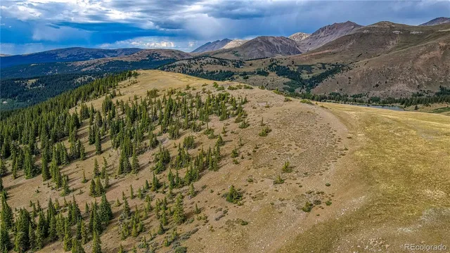 a view of a pathway both side of grassy field with shrub