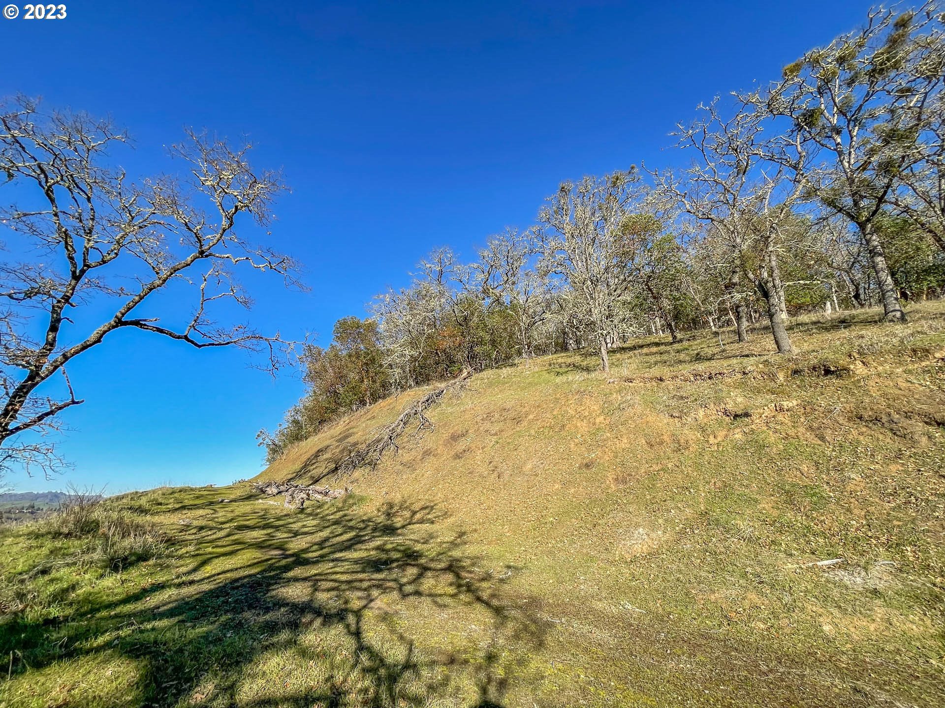 611 North View Drive Winchester, OR 97495 - Photo 2 of 10