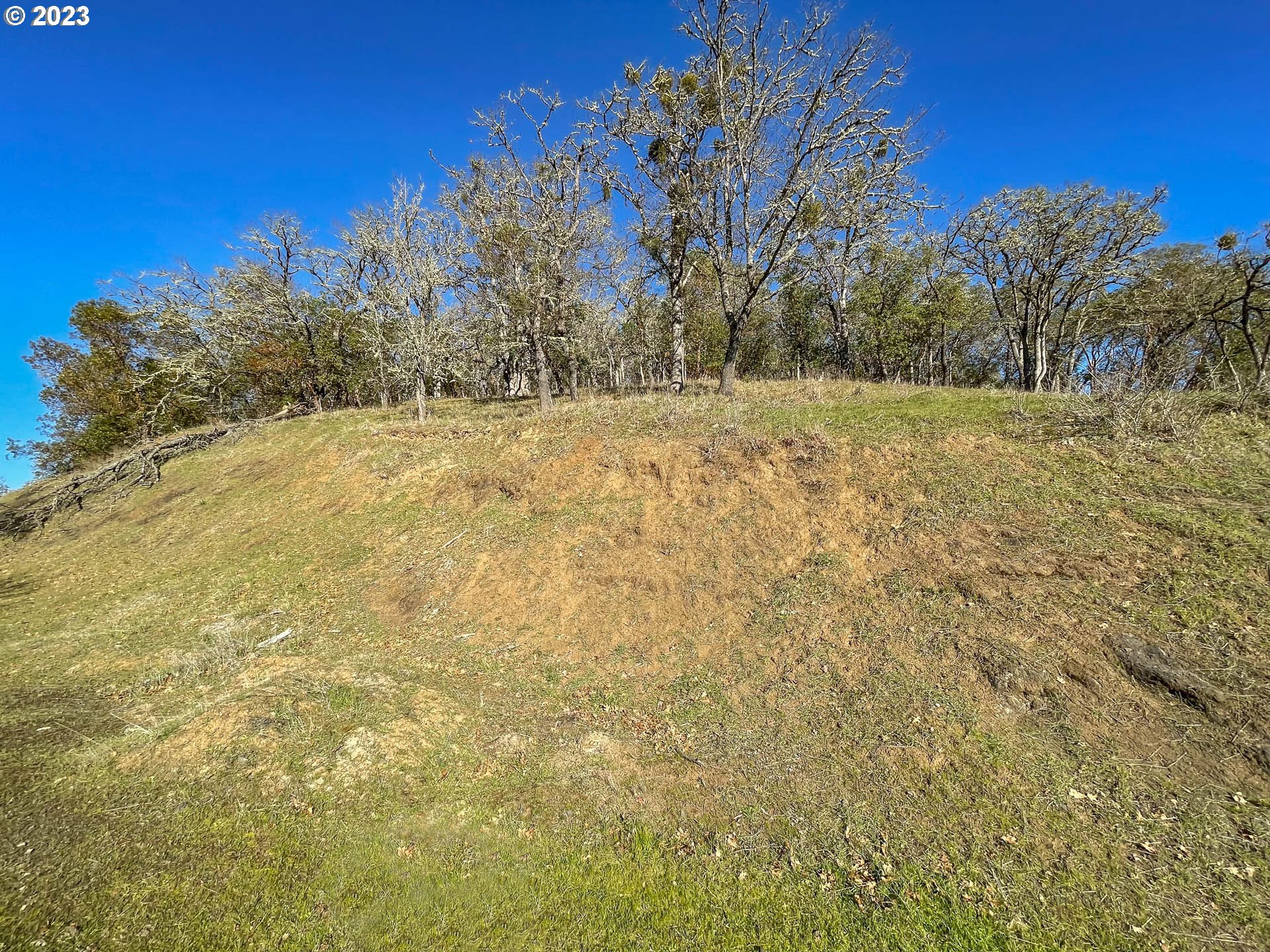 611 North View Drive Winchester, OR 97495 - Photo 3 of 10